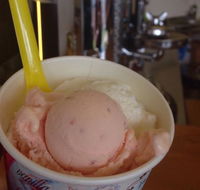 Bermagui Gelati Clinic - Restaurant Find