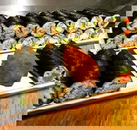 Freewave Sushi  Burgers - Restaurant Find