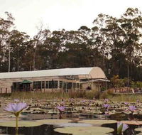 Abundance Cafe and Garden Centre - Restaurant Find