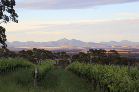 Castle Rock Estate Winery - Restaurant Find 0