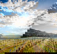 Fallen Giants Vineyard - Restaurant Find