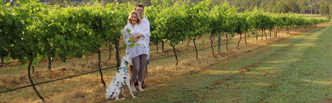 Greenway Wines - Restaurant Find 1