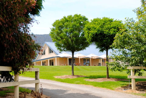 Badger Creek Blueberry Winery - Restaurant Find 0