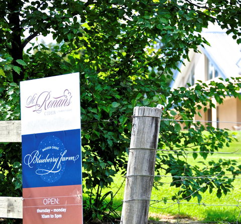 Badger Creek Blueberry Winery - Restaurant Find 1