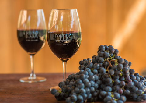 Politini Wines - Restaurant Find 0