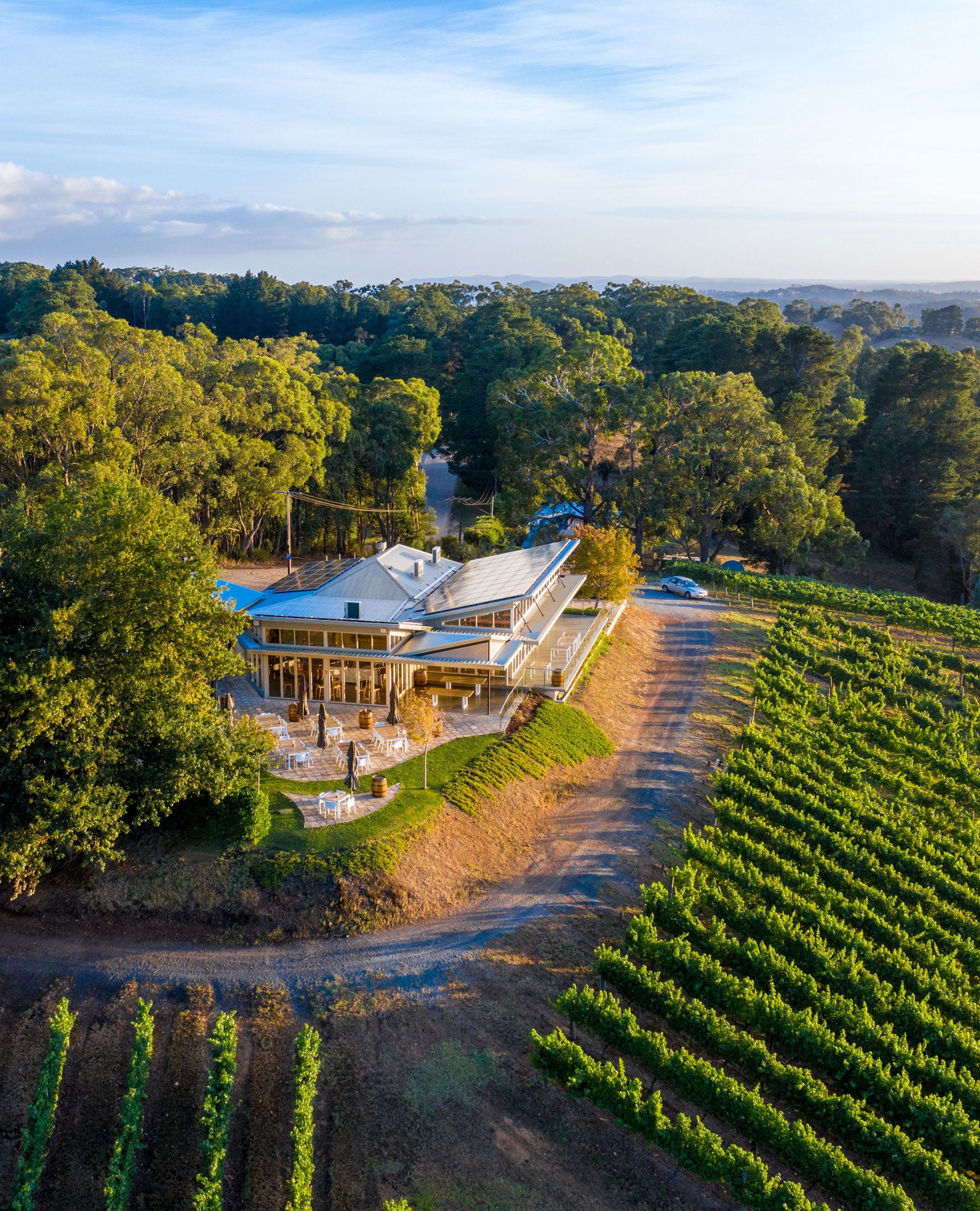 Pike and Joyce Wines Lenswood