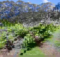 Woongooroo Estate Winery - Restaurant Find