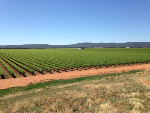 Melange Wines - Restaurant Find 0