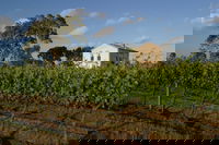 Highbank Vineyards