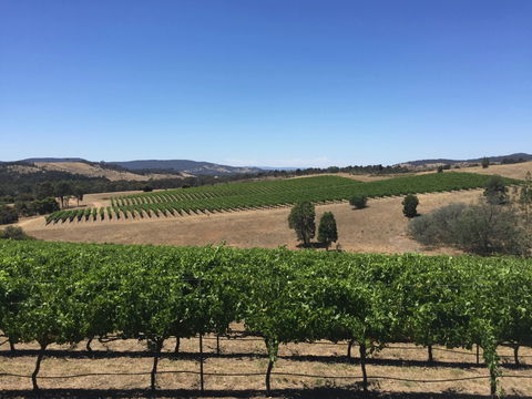 Peerick Vineyard And Winery - Restaurant Find 0
