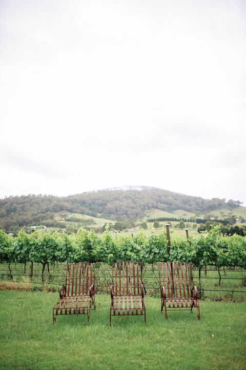 Two Figs Winery - Restaurant Find 2