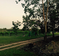 Brierley Wines - Restaurant Find