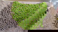 Wattle Hill Olives