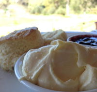 Tanglefoot Winery Cafe - Restaurant Find