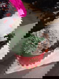 Gelatissimo