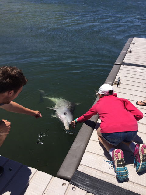 Whyalla Foreshore - Restaurant Find 3