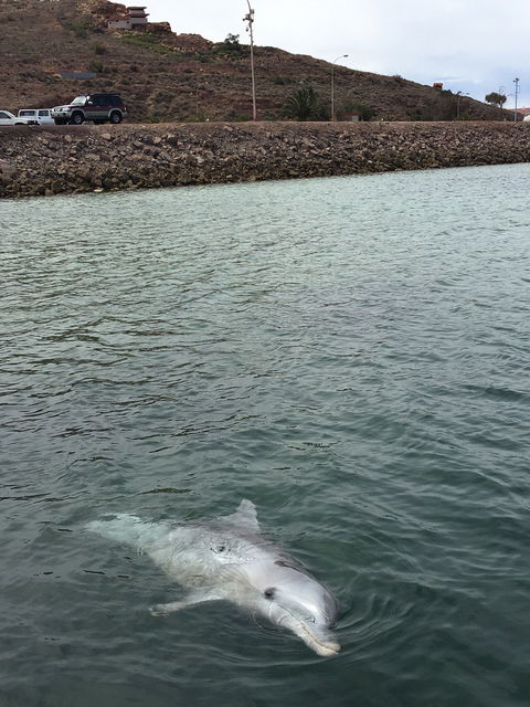 Whyalla Foreshore - Restaurant Find 5