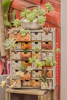 Sherpa Kitchen Garden Cafe - Restaurant Find 3
