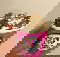 Baskin Robbins Toowoomba - Restaurant Find