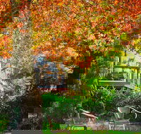 The Woods Ravensbourne - Restaurant Find