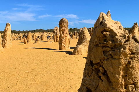 Pinnacles Desert (Private) Day Tour - Restaurant Find 0