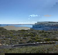 Penguin Island And Fremantle - Canoe Chocolate  Coffee - Restaurant Find