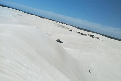 Yanchep & Lancelin - Wildlife, Cave And Sands - Restaurant Find 3
