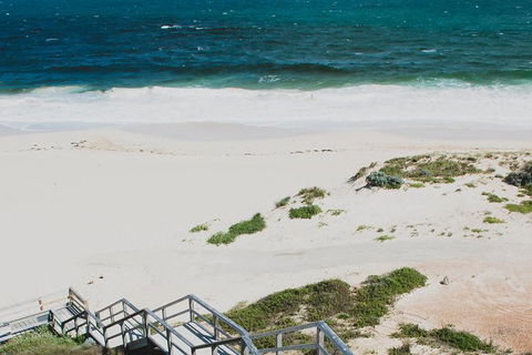 Yanchep & Lancelin - Wildlife, Cave And Sands - Restaurant Find 5