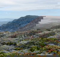 kunanyi/Mt Wellington Explorer Bus - One Way Tour - Restaurant Find