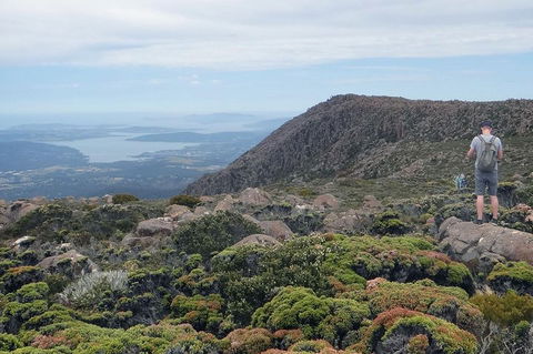 Kunanyi/Mt Wellington Explorer Bus - One Way Tour - Restaurant Find 0