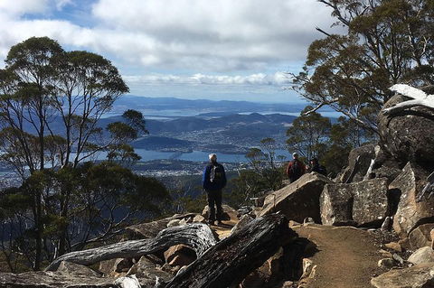 Kunanyi/Mt Wellington Explorer Bus - One Way Tour - Restaurant Find 2