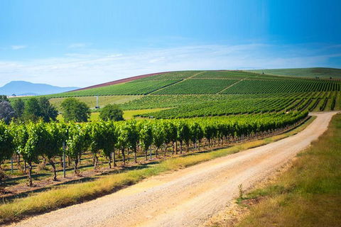 Full Day Tamar Valley Wine Tour - Restaurant Find 1