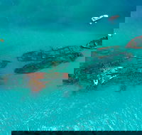 Private Tangalooma Wrecks Tour - Restaurant Find
