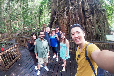 Cairns 4WD Waterfall And Rainforest Tour Including Kuranda Scenic Railway - Restaurant Find 0