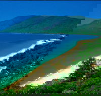 Cairns Reef and Rainforest Combo Daintree Rainforest and the Great Barrier Reef - Restaurant Find