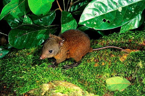 3-Day Small-Group Tour Of North Queensland With Pick Up - Restaurant Find 0