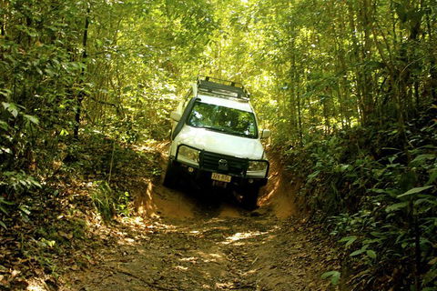 Cairns National Park Rainforest And Waterfall Small Group Tour Shore Excursion - Restaurant Find 0