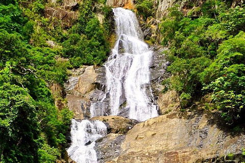 Cairns National Park Rainforest And Waterfall Small Group Tour Shore Excursion - Restaurant Find 4