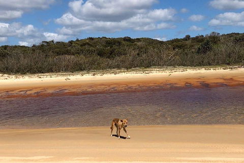 Pippies 3 Days 2 Nights Fraser Island Tour - Restaurant Find 2