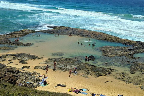 Pippies 3 Days 2 Nights Fraser Island Tour - Restaurant Find 5
