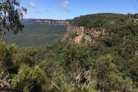 Full-Day Private Blue Mountains Tour With River Cruise - Restaurant Find 1