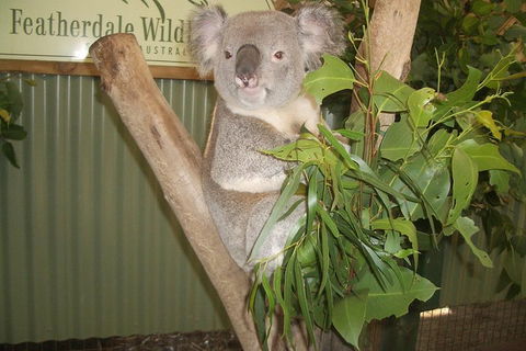 Full-Day Private Blue Mountains Tour With River Cruise - Restaurant Find 2