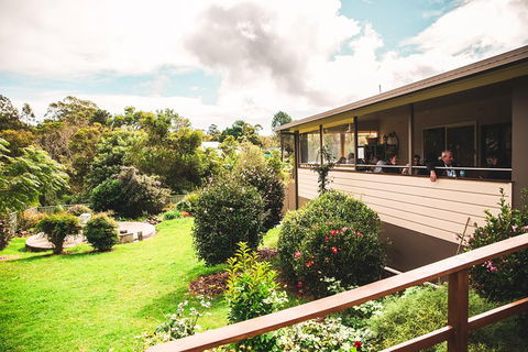 Full-day Springbrook National Park Tour From The Gold Coast - Restaurant Find 2