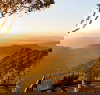 O'Reilly's  Lamington National Park incl. Alpaca Farm  Vineyard - Restaurant Find