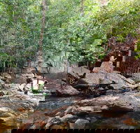 Ethical Adventures - Best in the WET - Litchfield / Kakadu 3 Day- max 10 guests - Restaurant Find