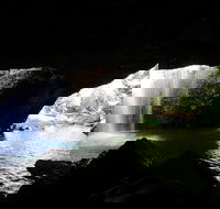 Rainforest  Waterfalls Extravaganza - Restaurant Find