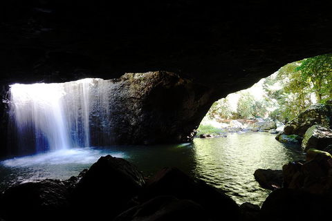 Rainforest & Waterfalls Extravaganza - Restaurant Find 0