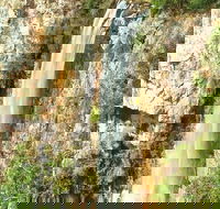 Private Tour - Rainforest  Waterfalls Extravaganza - Restaurant Find