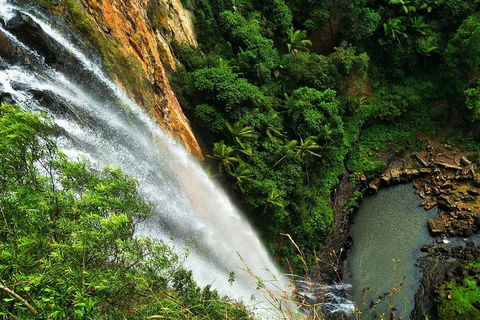 Private Tour - Rainforest & Waterfalls Extravaganza - Restaurant Find 2