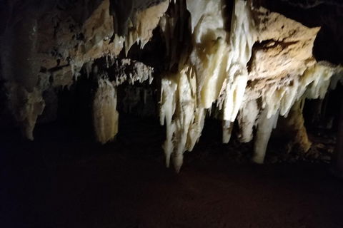 The Pinnacle Adventure Tour - Restaurant Find 0
